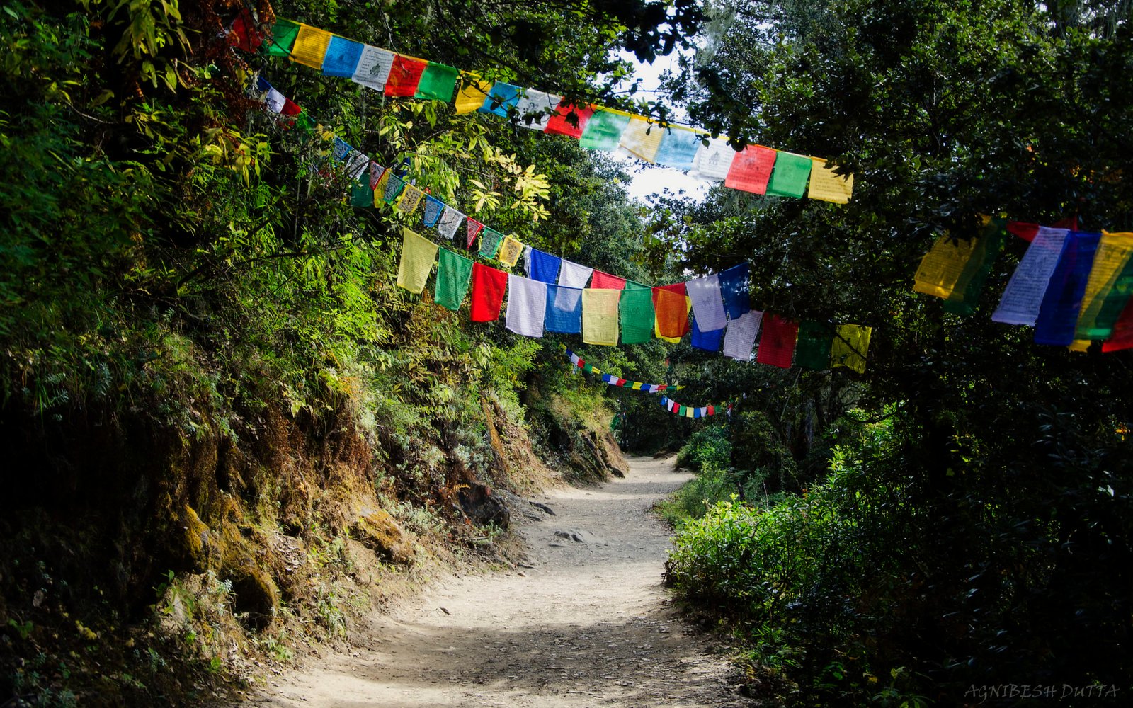 Hike to Tiger's Nest Bhutan: An Essential Guide & A Delightful Photo ...