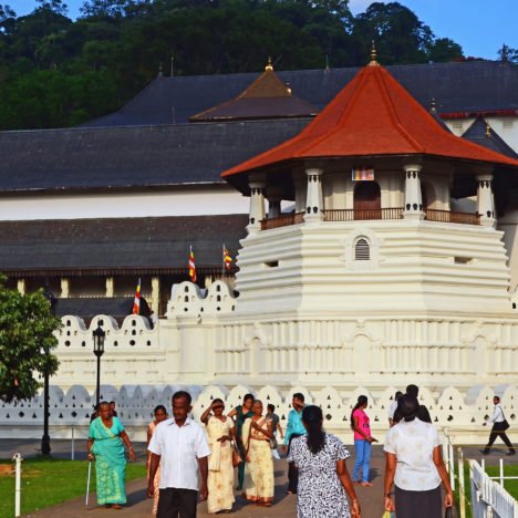 A Day Trip to Dambulla and Sigiriya from Kandy: Stepping into the Intriguing ancient history of Sri Lanka