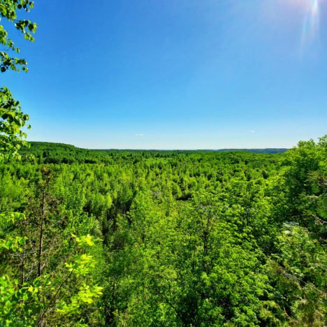 Forks of the Credit Provincial Park: A Serene Nature Gateway And Day Hike Near Toronto