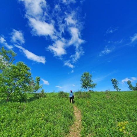 Nottawasaga Bluffs Conservation Area: A Natural Wonder And A Day Hike Near Toronto