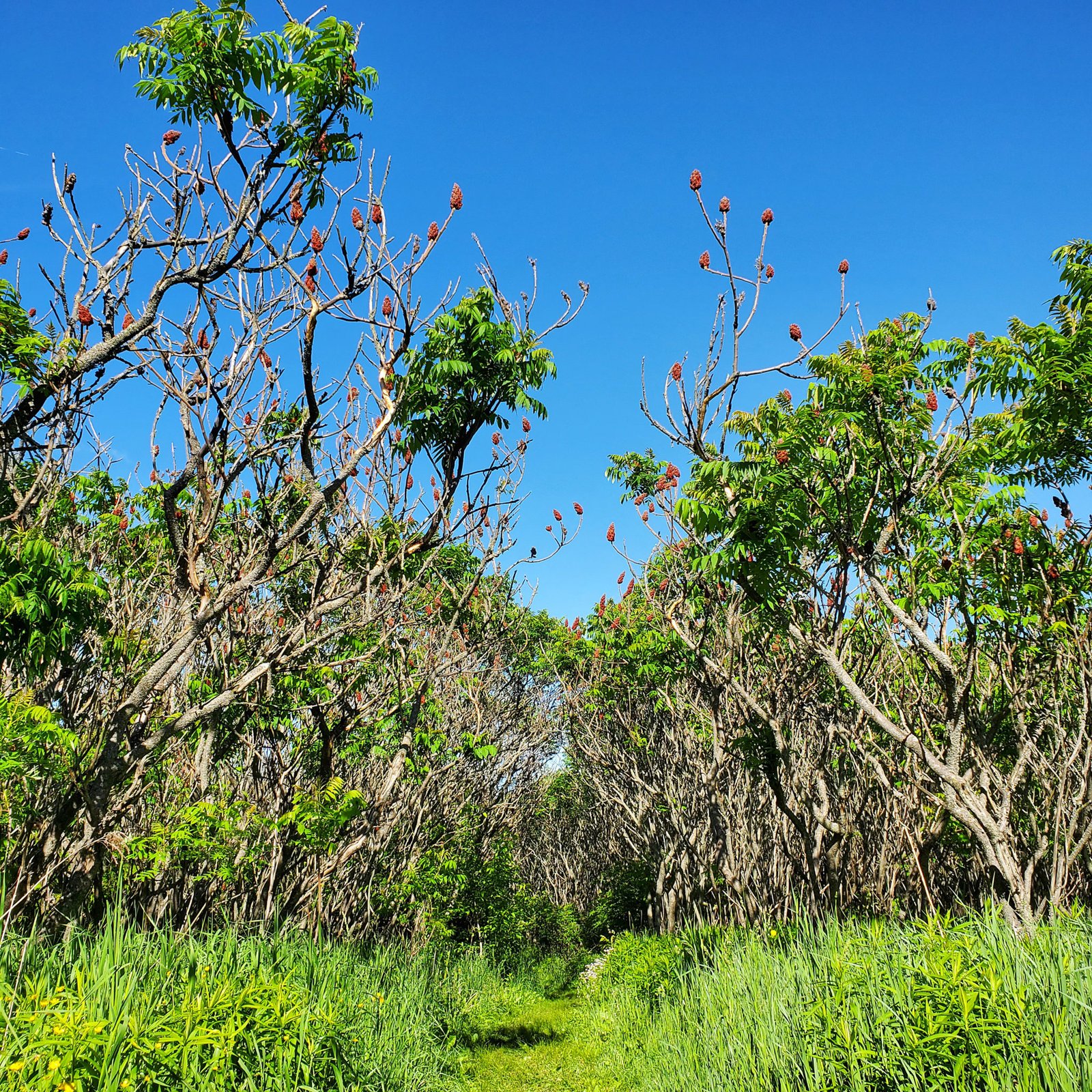 Forks of the Credit Provincial Park A Serene Nature Gateway And Day