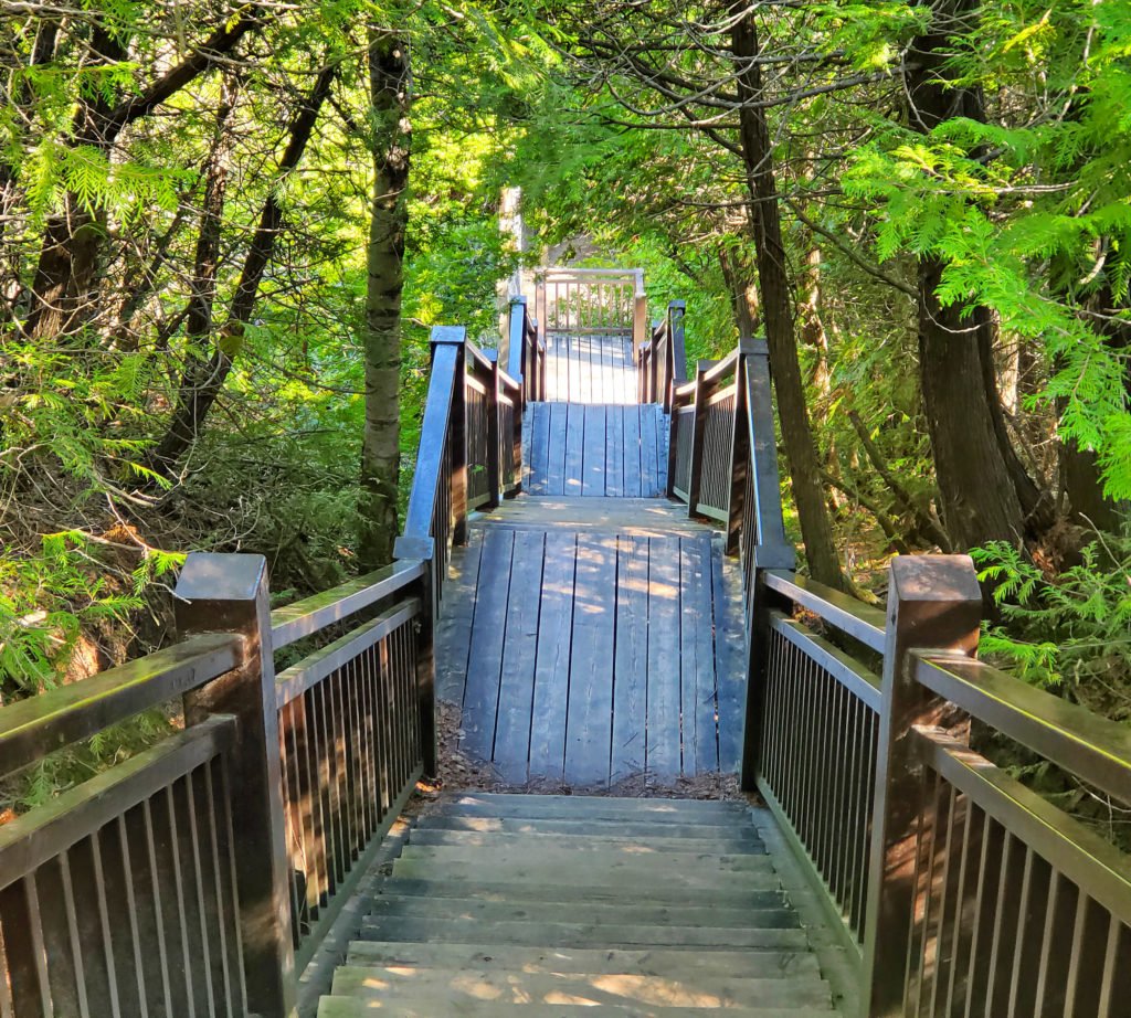 Forks of the Credit Provincial Park staircase