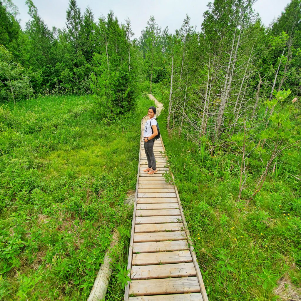 Nottawasaga Bluffs Conservation Area wooden bridge