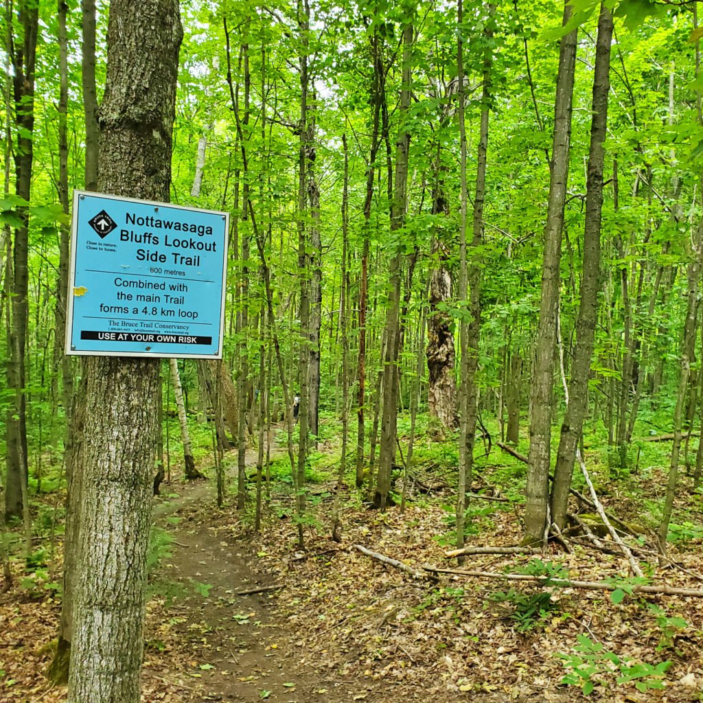 Nottawasaga Bluffs Conservation Area