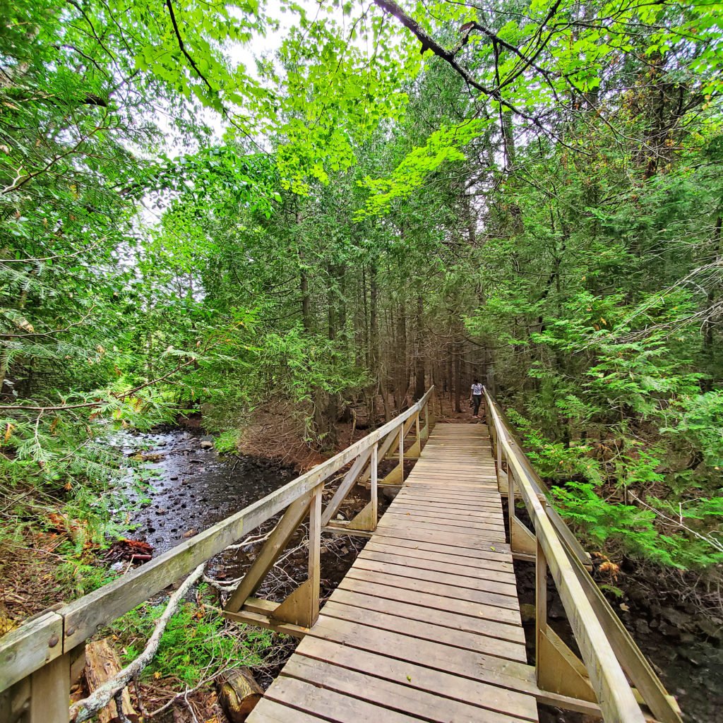 Nottawasaga Bluffs Conservation Area wooden bridge