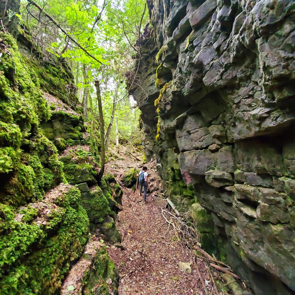 Nottawasaga Bluffs Conservation Area rock formations