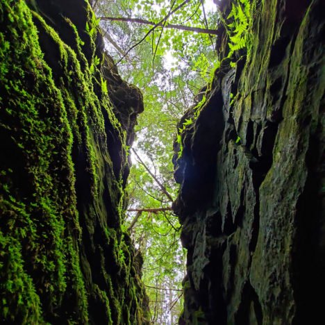 Forks of the Credit Provincial Park: A Serene Nature Gateway And Day Hike Near Toronto