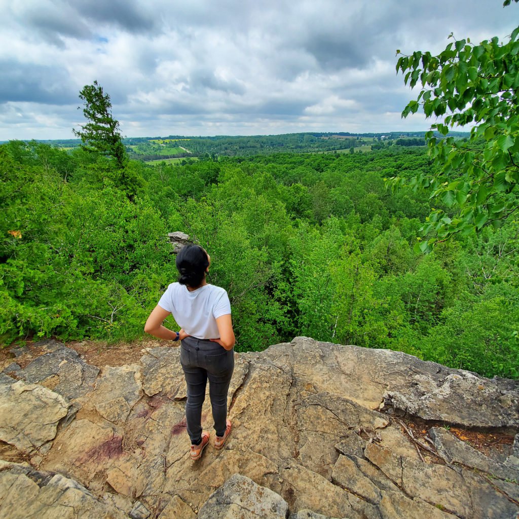 Nottawasaga Bluffs Conservation Area cliff